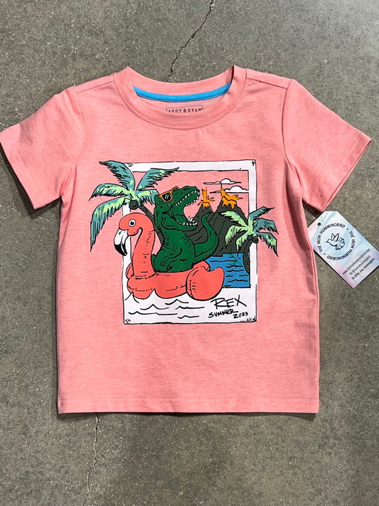 Dino Floaty Tshirt Set