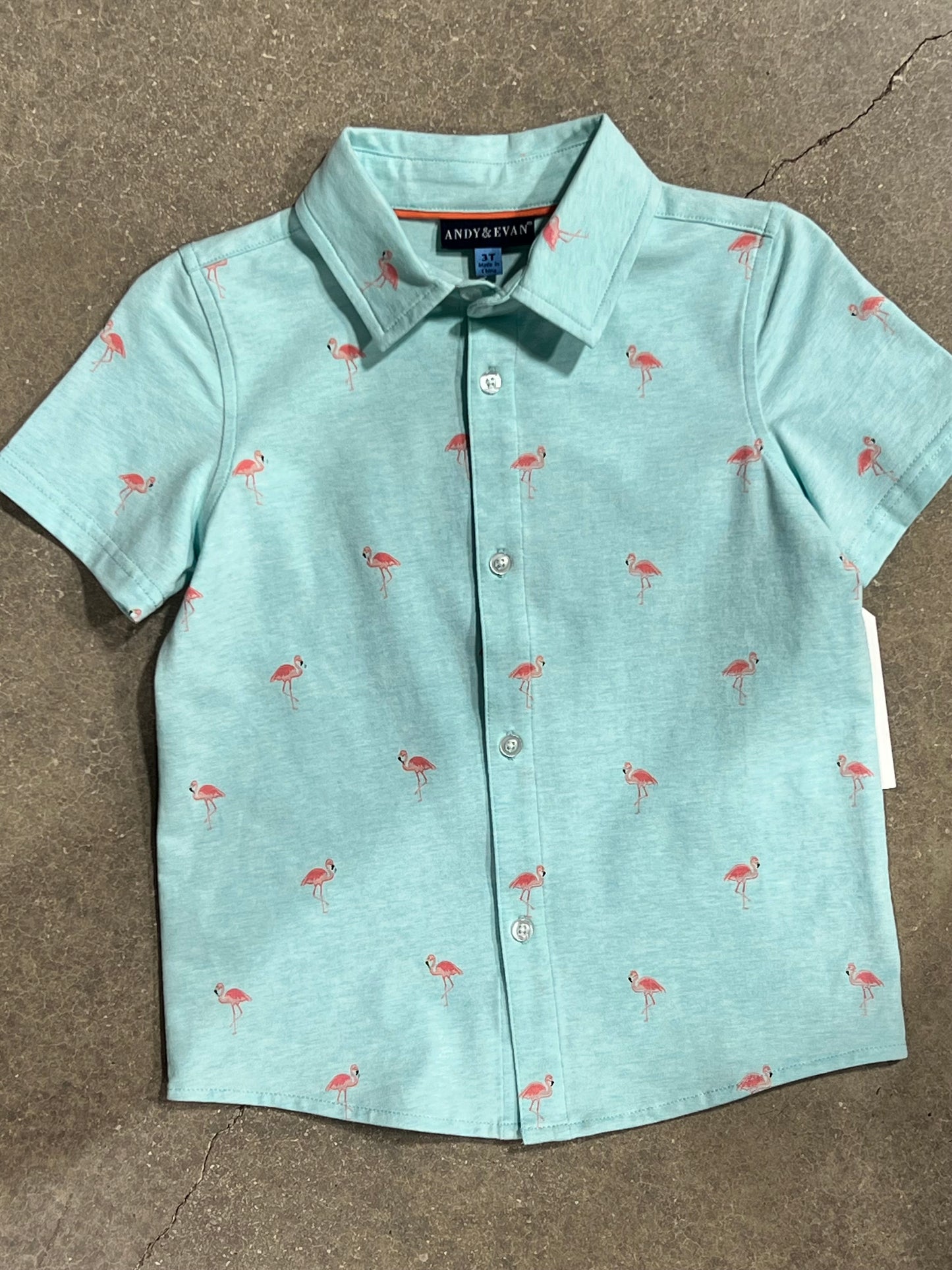 Aqua Flamingo Set