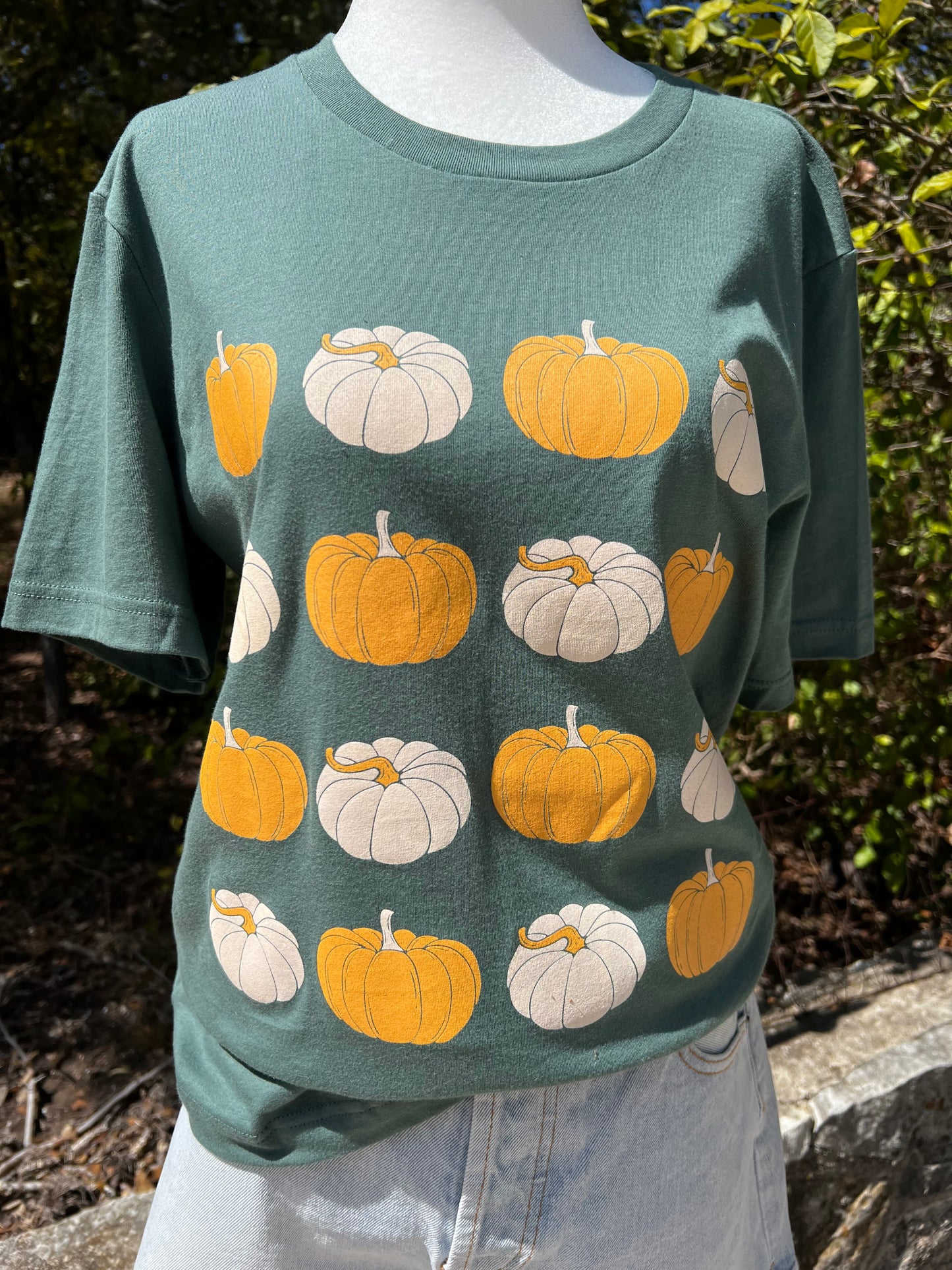 Pumpkin Patch Graphic Tshirt